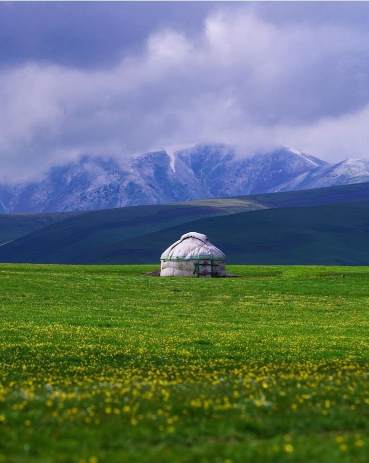 Степь Казахстана